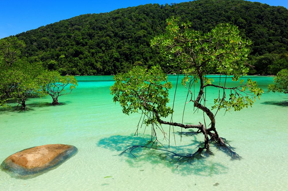 Town House 2bed1bath Phuket ตกแต่งใหม่ 090 9897810