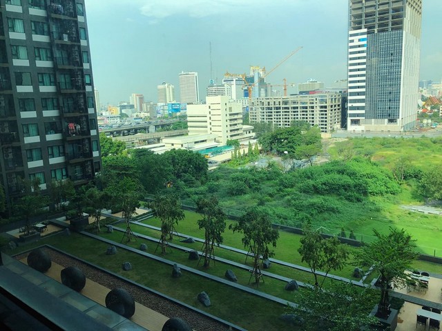 ให้เช่า Life Asoke (ไลฟ์ อโศก)วิวสวนราคาต่อรองได้เครื่องใช้ไฟฟ้าครบ