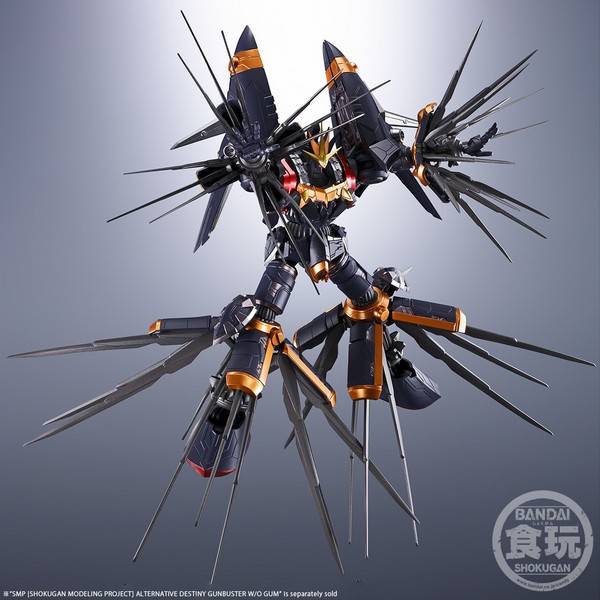 4549660700746 **เฉพาะพาส ไม่รวมหุ่น** p-bandai smp alternative destiny super lightning kick set