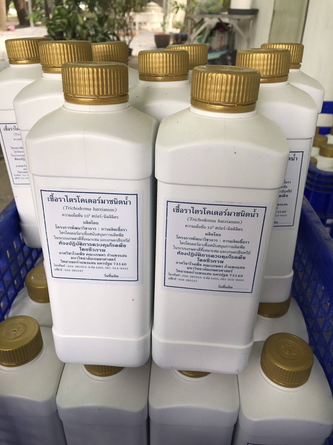 เชื้อราไตรโคเดอร์มาชนิดน้ำ จาก ม.เกษตร กำแพงแสน ขนาดบรรจุ 1 ลิตร
