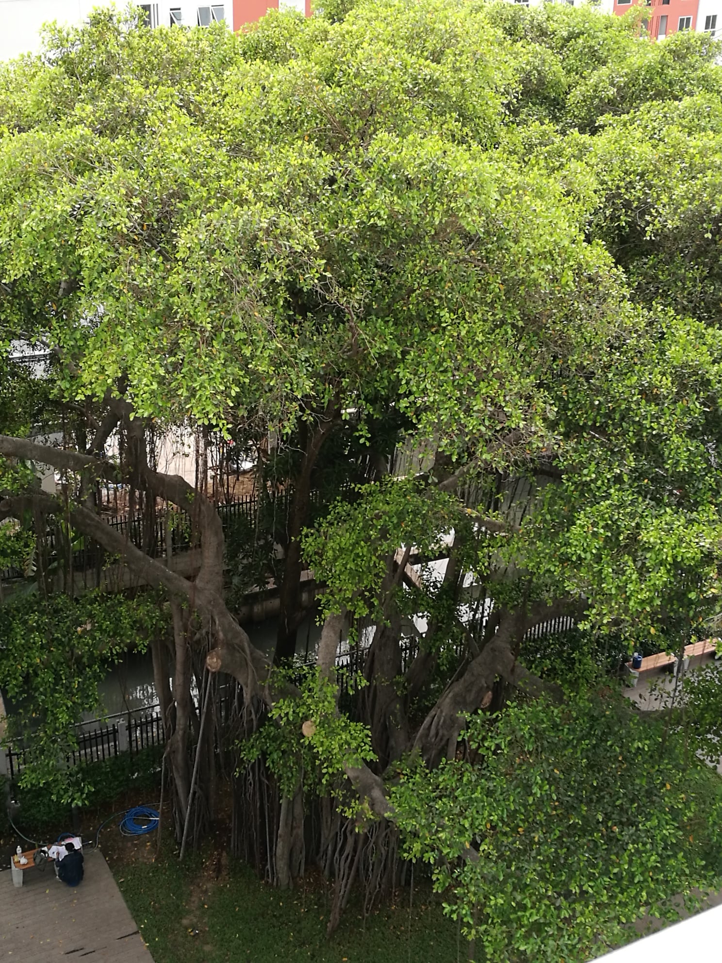 ให้เช่า Unio Charan 3 (ยูนิโอ จรัญฯ 3) ตึกBชั้น7กั้นกระจกห้องครัว