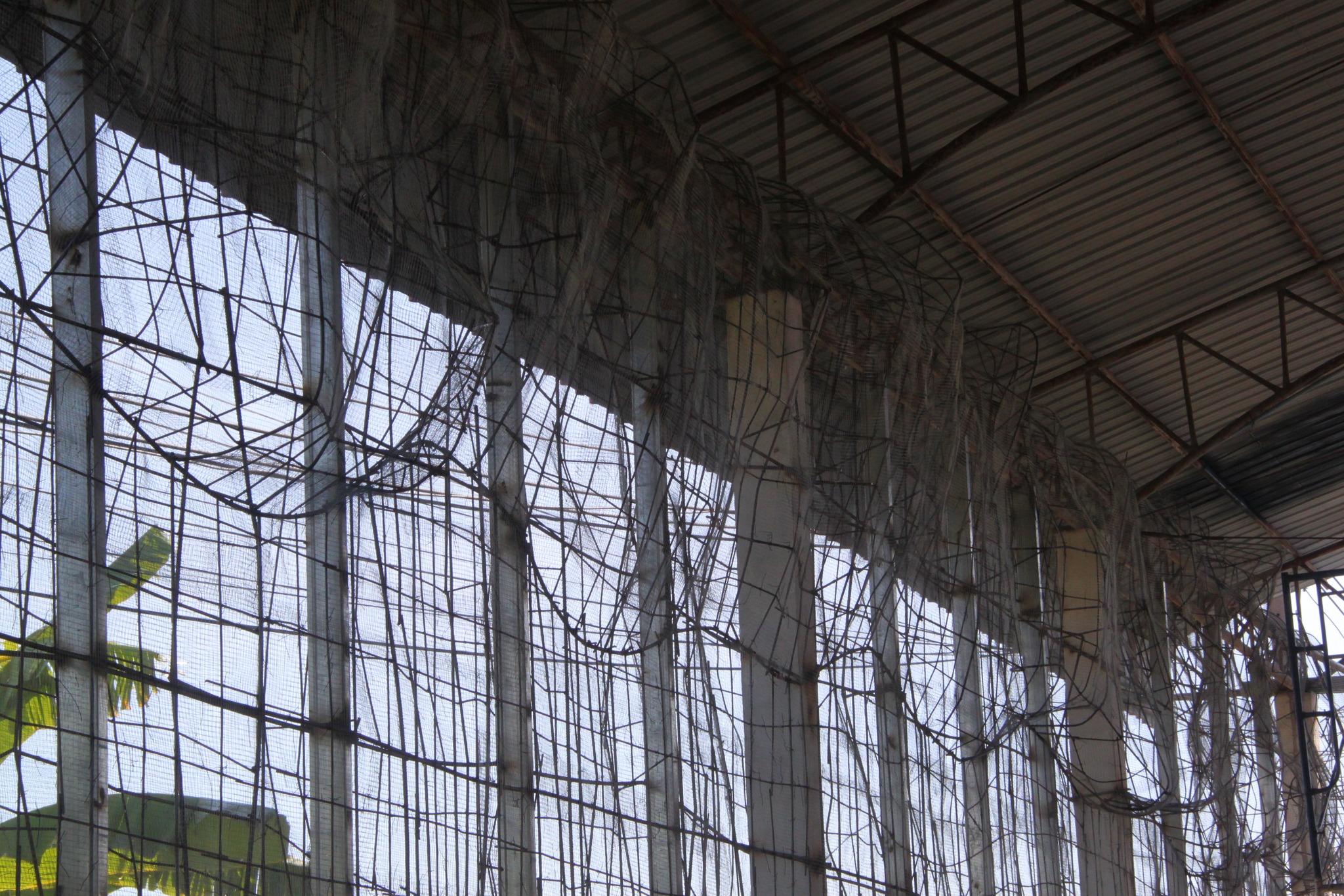 โครงการก่อสร้าง #พิพิธภัณฑ์เรืองแสงแหล่งเรียนรู้ผ้าไหม แหล่งท่องเที่ยว แลนด์มาร์คแห่งใหม่ #เทศบาลตำบลนาโพธิ์ จังหวัดบุรีรัมย์ สอบถาม โทร 061-6592998