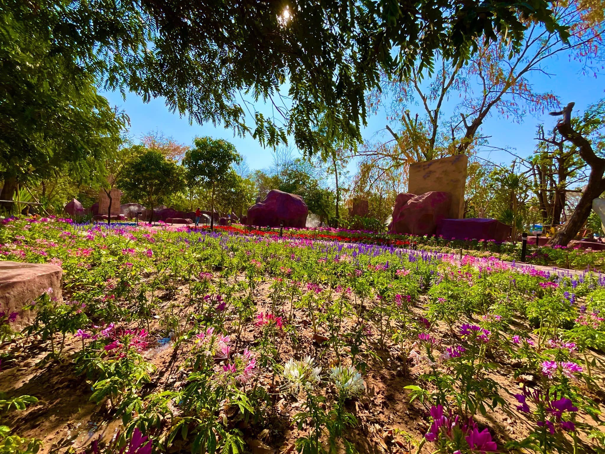 บรรยากาศการให้เยี่ยมชม #สวนพุทธศิลป์ #อุทยานพระนาดูนทะลุมิติ จ.มหาสารคาม สอบถาม โทร 061-6592998