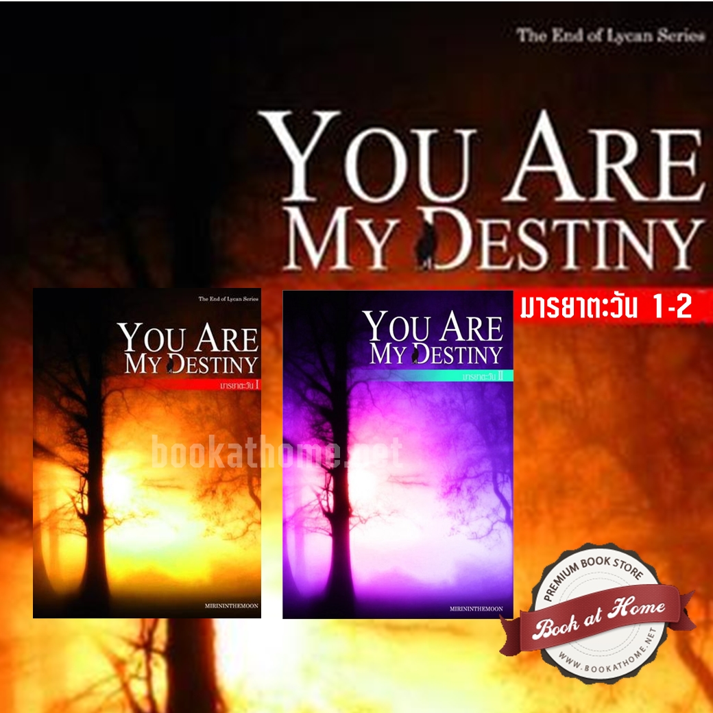 You are my destiny มารยาตะวัน (ปกแข็ง 2 เล่มจบ)