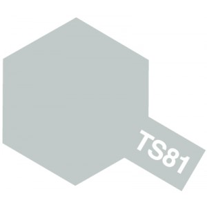 TS-81 royal light gray