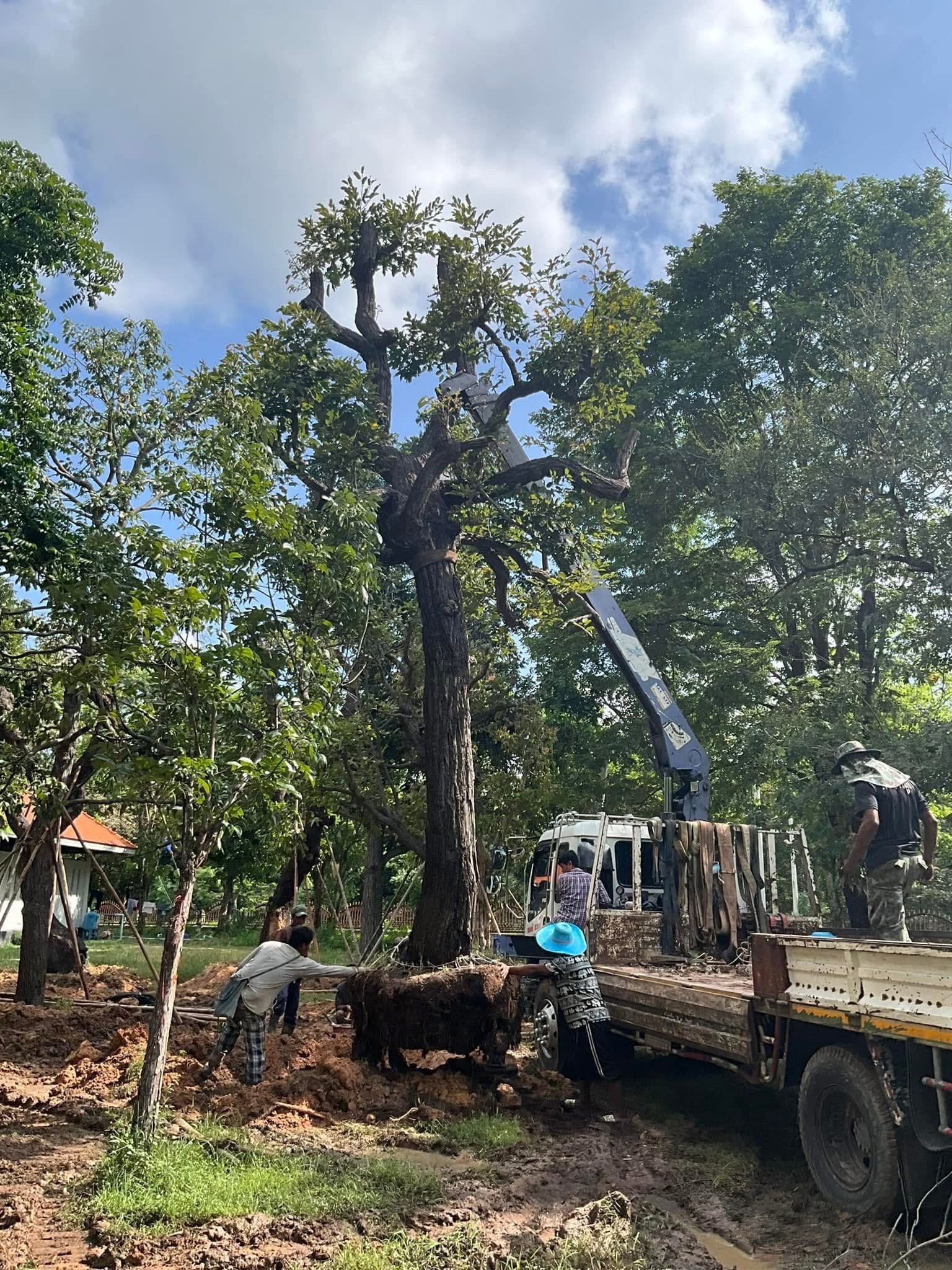 งานออกแบบ จัดสร้างสวนพุทธศิลป์ อุทยานพระนาดูนทะลุมิติ จ.มหาสารคาม สอบถาม โทร 061-6592998