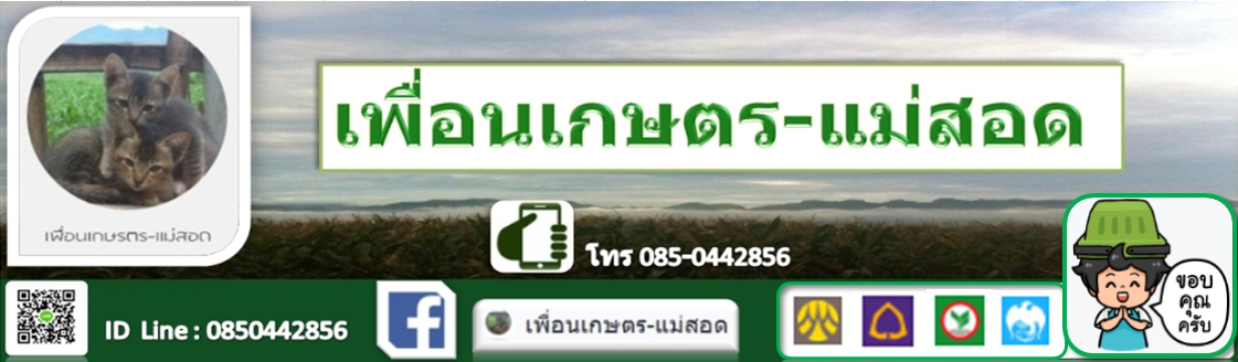 เพื่อนเกษตร-แม่สอด
