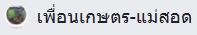 ตลาดเพื่อนเกษตร-แม่สอด