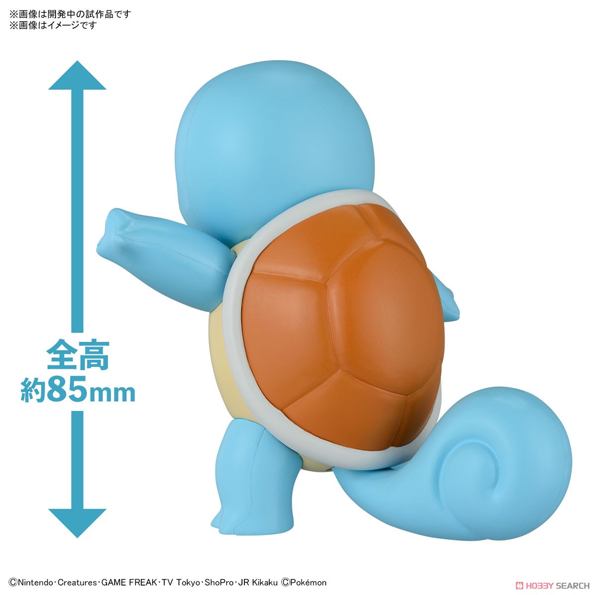Bandai 4573102662910 Pokémon PLAMO COLLECTION QUICK!! 17 Squirtle