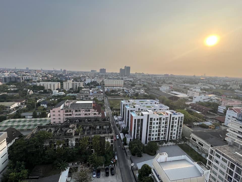 ปล่อยเช่า Knightsbridge Collage Sukhumvit 107 : ไนท์บริดจ์ คอลลาจ สุขุมวิท 107 - โซนพื้นที่ BTS แบริ่ง Studio 1ห้องน้ำ - ขนาดห้อง 25 ตรม. ชั้น 21 - ให้เช่า 12,000 ต่อเดือน