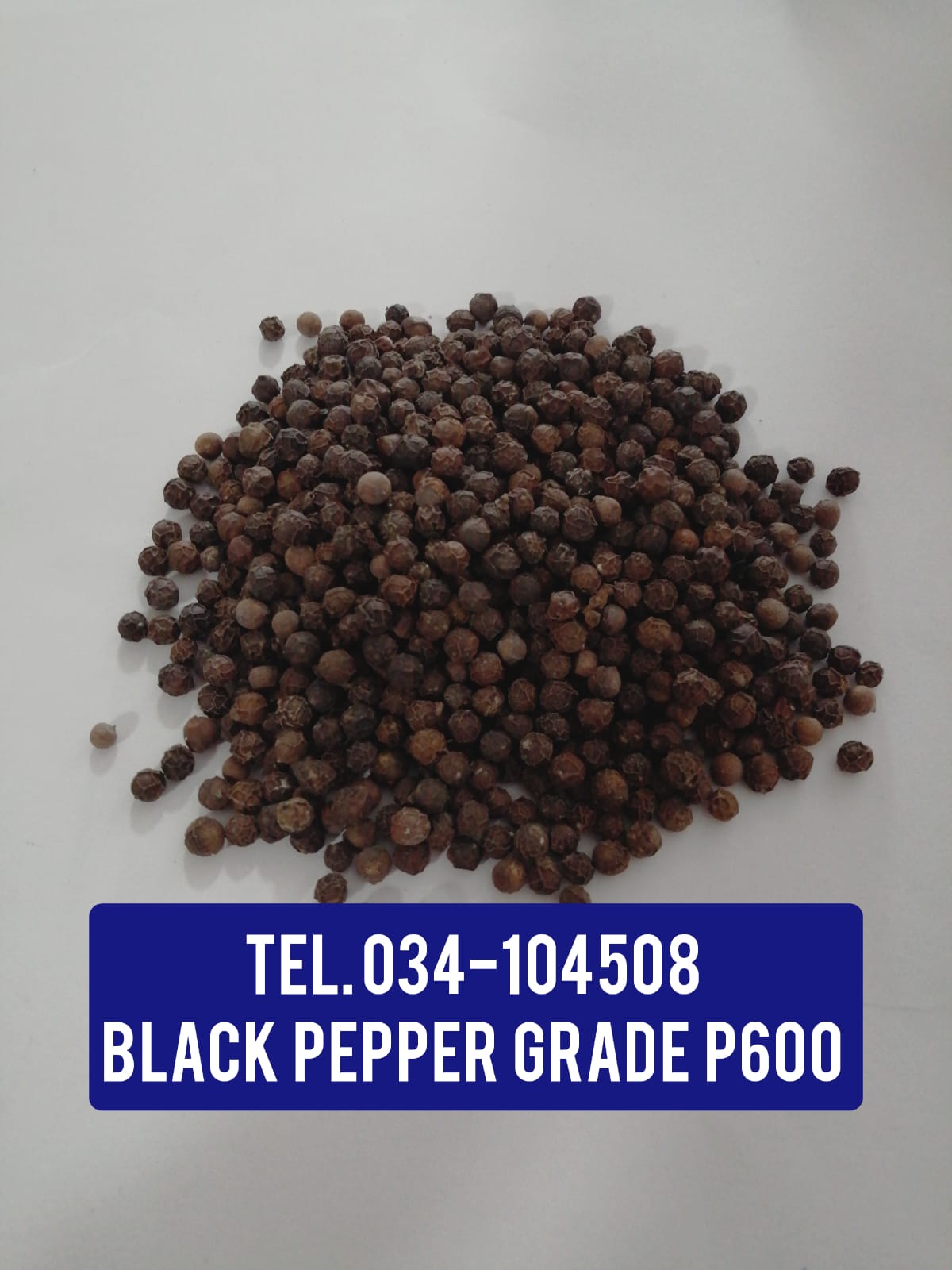 BLACK PEPPER