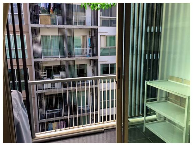 ให้เช่า A space Sukhumvit 77 (เอสเปช สุขุมวิท77) 1ห้องนอน วิวสระ Fully furnish