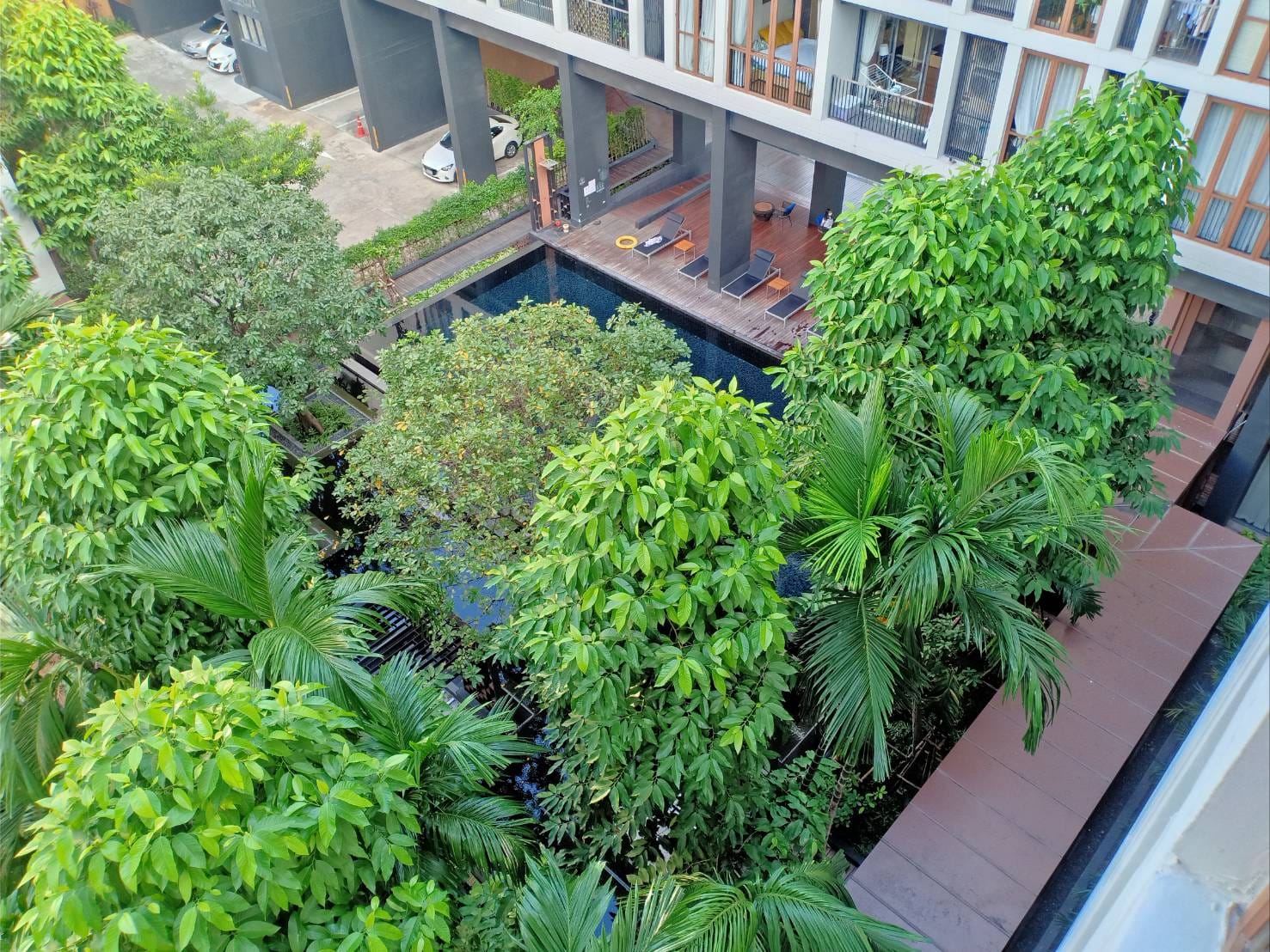 ปล่อยเช่าคอนโด Hasu Haus (ฮาสุ เฮ้าส์) - 1ห้องนอน 1ห้องน้ำ 1ห้องนั่งเล่น - ใกล้ BTS อ่อนนุช - ขนาดห้อง 37 ตรม. ชั้น 6 ตึก B