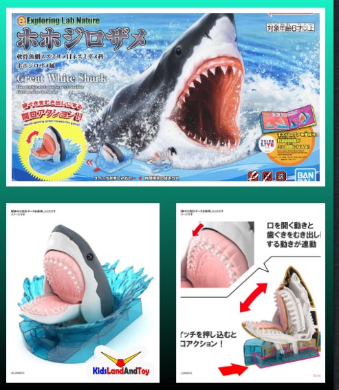4573102633927 EXPLORING LAB NATURE GREAT WHITE SHARK