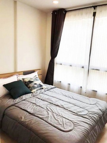 ให้เช่า The Tree Sukhumvit 64 (เดอะทรี สุขุมวิท 64) แต่งครบพร้อมอยู่