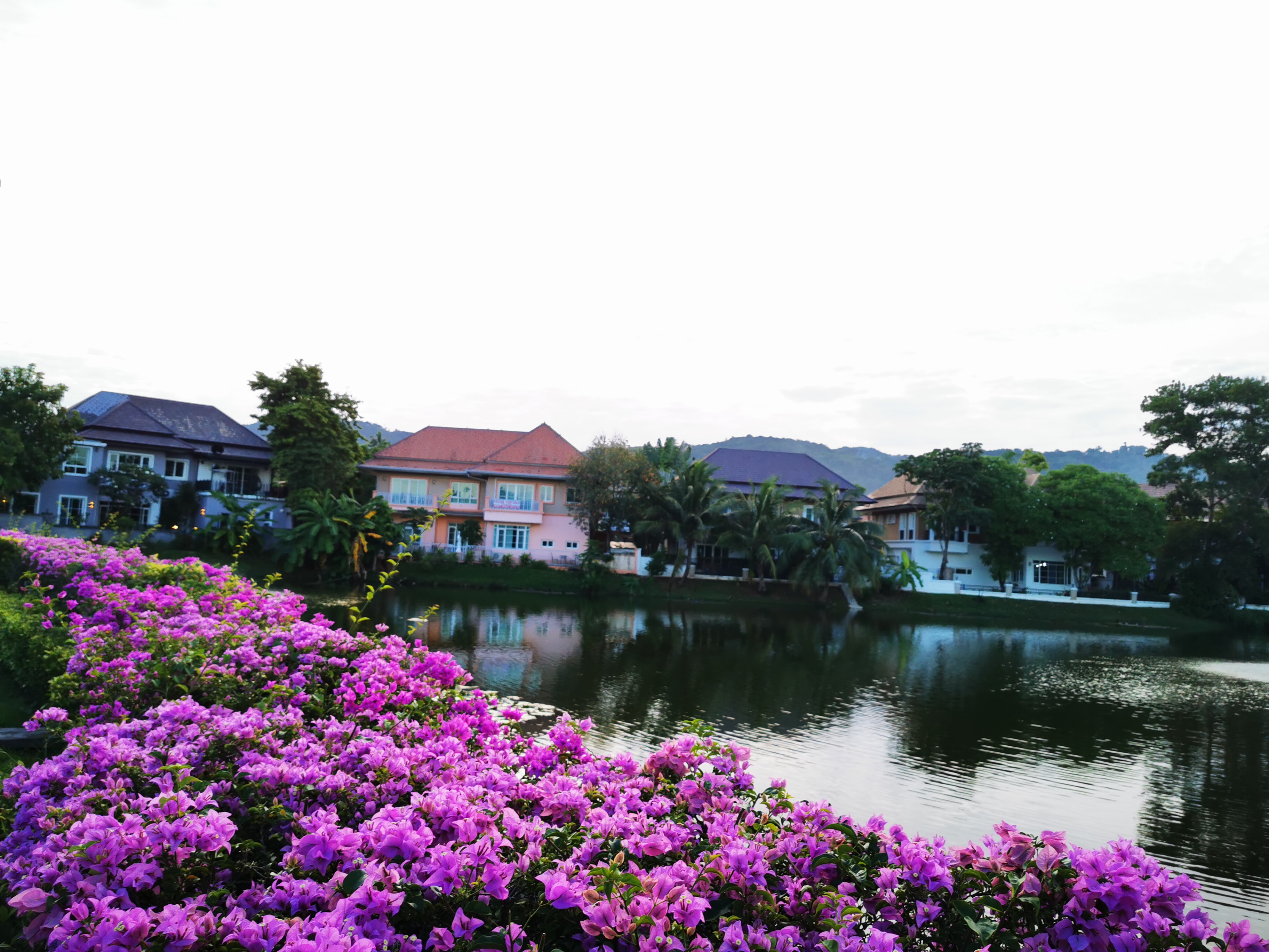 ใกล้ทะเล ใกล้ภูเขา บ้านเดี่ยว วิวภูเขา บ้าน2ชั้น 3นอน 2น้ำ สวนขนาดใหญ่ ทะเลสาบ แลนด์แอนด์เฮ้าส์ พาร์ค ภูเก็ต แลนด์ แอนด์ เฮ้าส์ พาร์ค ภูเก็ต Near Beach Near Mountain Detatched House 2 Storey Mountain Views 3 Bed 2 Bath Big Garden and Lake in common Area F