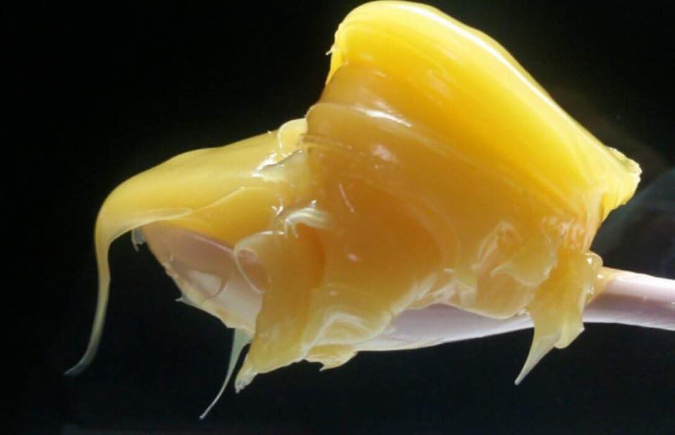 Budpaste Hormone เจลป้ายตาเร่งยอด10กรัม