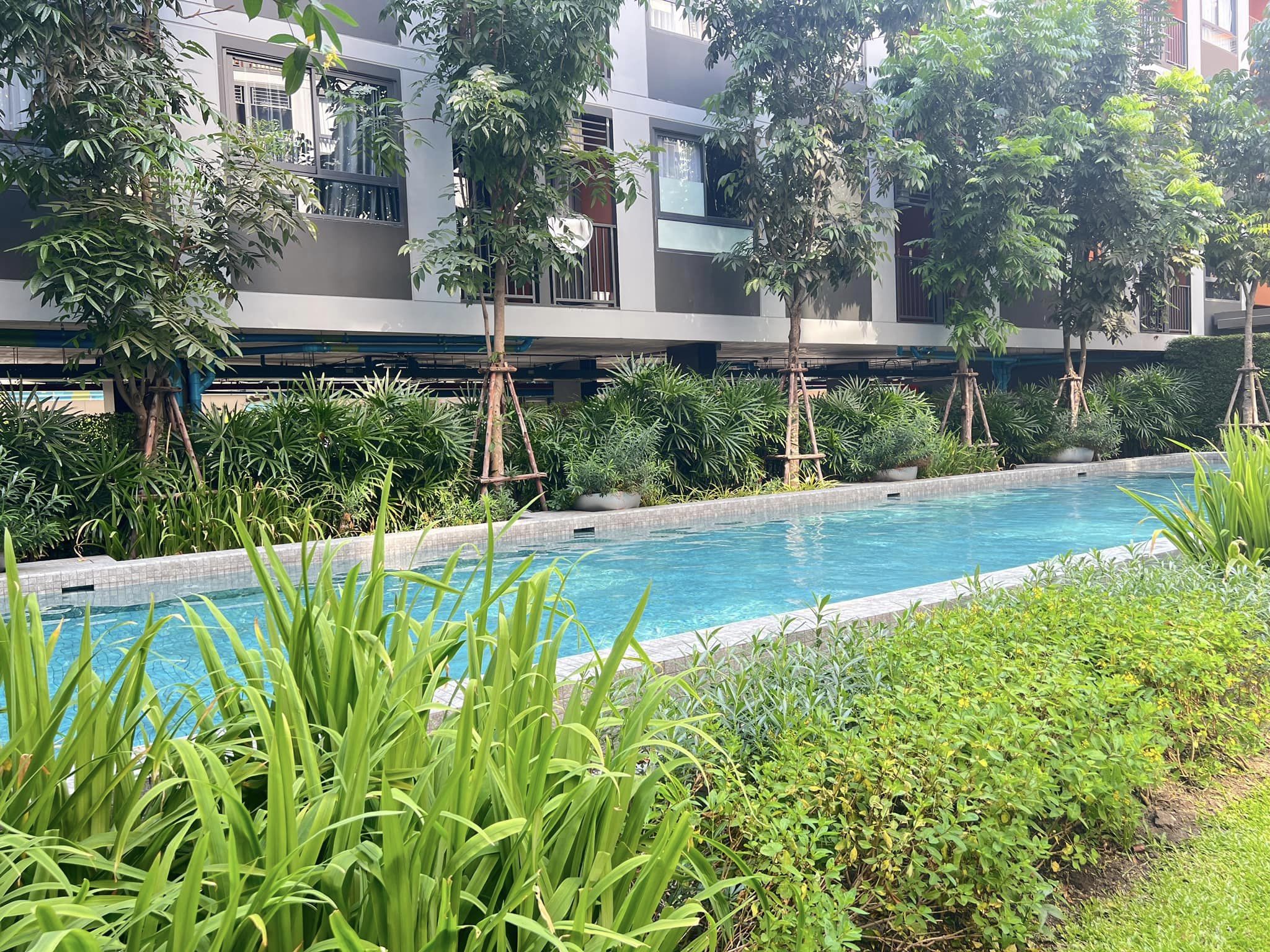 ปล่อยเช่าคอนโด THE MUVE Bangna (เดอะ มูฟ บางนา) - ใกล้เซ็นทรัลบางนา เฟอร์เครื่องใช้ไฟฟ้าครบครั้น