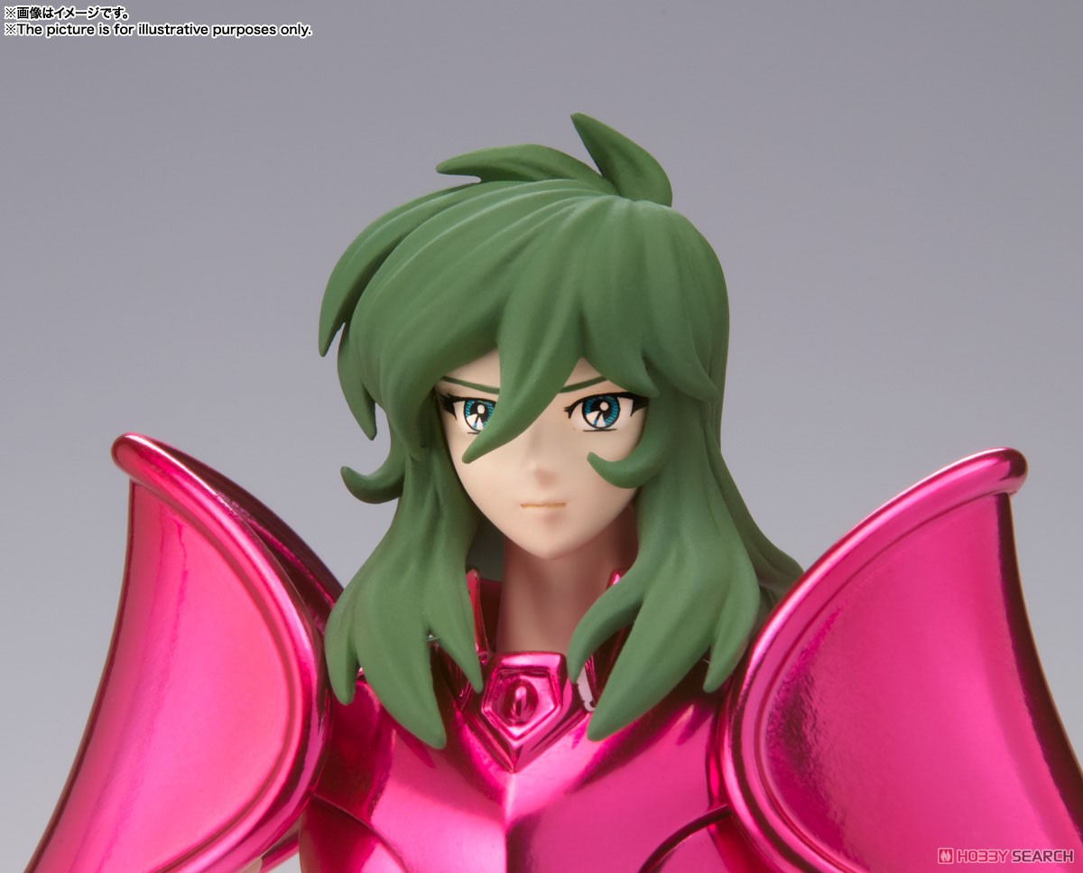 JP4573102629807 JP Saint Cloth Myth EX Andromeda Shun (New Bronze Cloth)