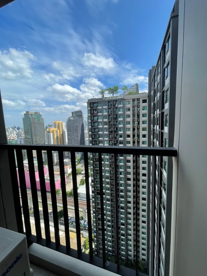 ให้เช่าคอนโด Life Asoke (ไลฟ์ อโศก) โซน รถไฟฟ้า MRT เพชรบุรี / มศว 1ห้องนอน / 1ห้องน้ำ ขนาดห้อง 29 ตรม. ชั้น 31