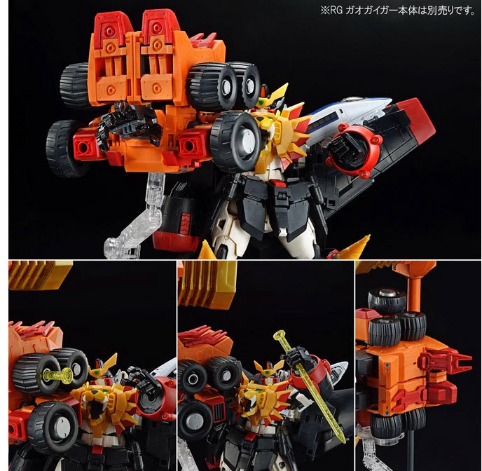 4573102640796 RG GORDYMARG