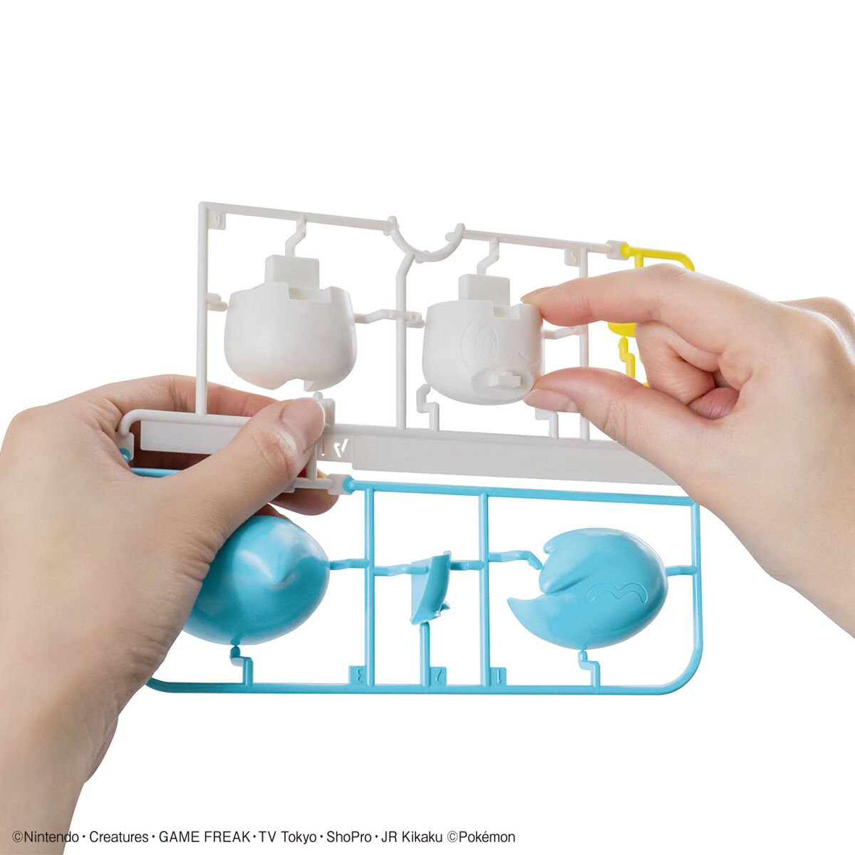 Bandai 4573102666970 Pokémon PLAMO COLLECTION QUICK!! 19 Quaxly