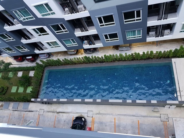 ให้เช่า Regent Home Sukhumvit 81 ห้องสวยเฟอร์ครบวิวสระ