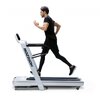 ลู่วิ่งไฟฟ้า Treadmill Horizon Omega Z