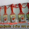 ชุดแปรงทาสี 6 ด้ามสุดคุ้ม