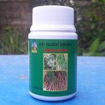 ยาแคปซูลรากสามสิบ 100 แคปซูล (หมอสิงห์)