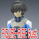 Figure-rise Bust
