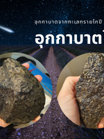 Gobi Meteorite (อุกกาบาตโกปี)
