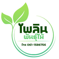 พันธุ์ไม้จัดสวน ส่งตรงจากไร่