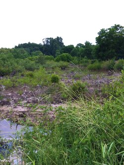 ขายที่ดินขนาด 3ไร่ 47 ตรว. อยู่ไม่ไกลจากหาดเจ้าหลาว จุดชมวิวเนินพญา จังหวัดจันทบุรี