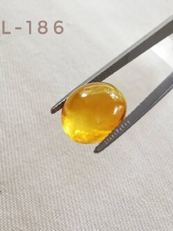 อำพันพม่าทรงรีเจียรหลังเบี้ย