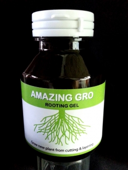 Amazing Gro เจลเร่งราก150ml