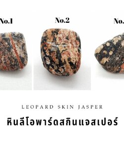 หินลีโอพาร์ดสกินแจสเปอร์ขัดเงา Leopard Skin Jasper