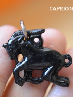 สร้อยคอเงินจี้หินแกะสลักราศีมังกร (Capricorn)