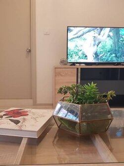 ให้เช่า Life Sukhumvit 48 (ไลฟ์ สุขุมวิท 48) วิวสวนติดผนังห้องอื่นเพียงด้านเดียว