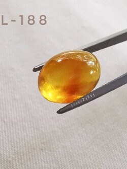 อำพันพม่าทรงรีเจียรหลังเบี้ย