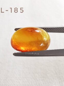 อำพันพม่าทรงรีเจียรหลังเบี้ย