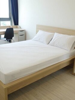 ให้เช่า Ideo Mobi Sukhumvit Eastgate (ไอดีโอ โมบิ สุขุมวิท อีสท์เกต) 1ห้องนอน 13,000