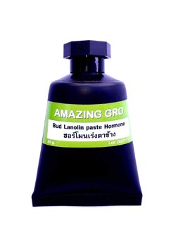 Budpaste Hormone เจลป้ายตาเร่งยอด 30กรัม