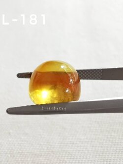 อำพันพม่าทรงกลมเจียรหลังเบี้ย