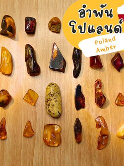 อำพันโปแลนด์ทรงธรรมชาติขัดเงา Amber