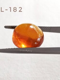 อำพันพม่าทรงกลมเจียรหลังเบี้ย