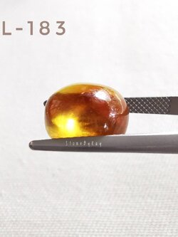 อำพันพม่าทรงกลมเจียรหลังเบี้ย