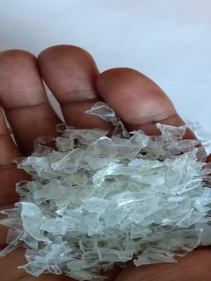 pet flakes transparent white