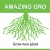 ร้านAmazing Gro