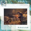 [เต้ามู่] 817 - 2024 : แผ่นบอร์ดชิกิชิอะคริลิค (ภาพกึ่งลอย) 孤山雨夜